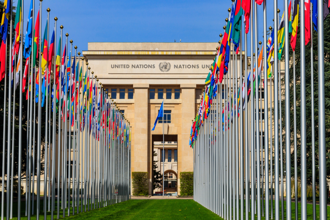 Illustration for news: Director of the HSE International Research and Educational Foresight Centre Participates in UN Commission Meeting in Geneva